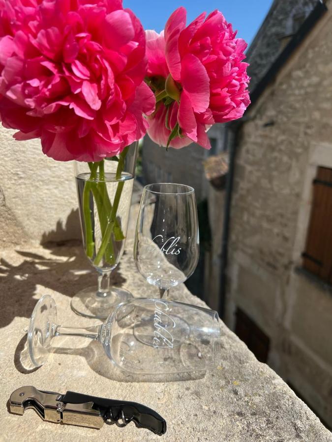 La Maison D'Alienor - Gites De Caractere A Chablis - 89 Esterno foto
